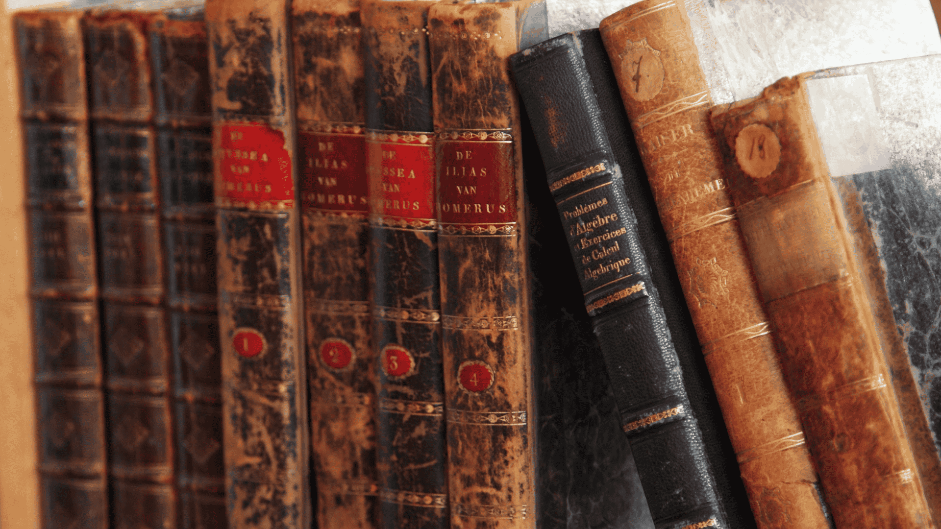 Una fila di dorsi di libri antichi