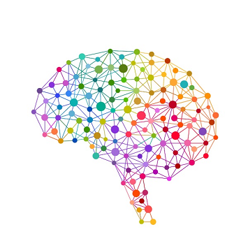Colorful rendition of a brain showing dots of various sized and colors connected with lines