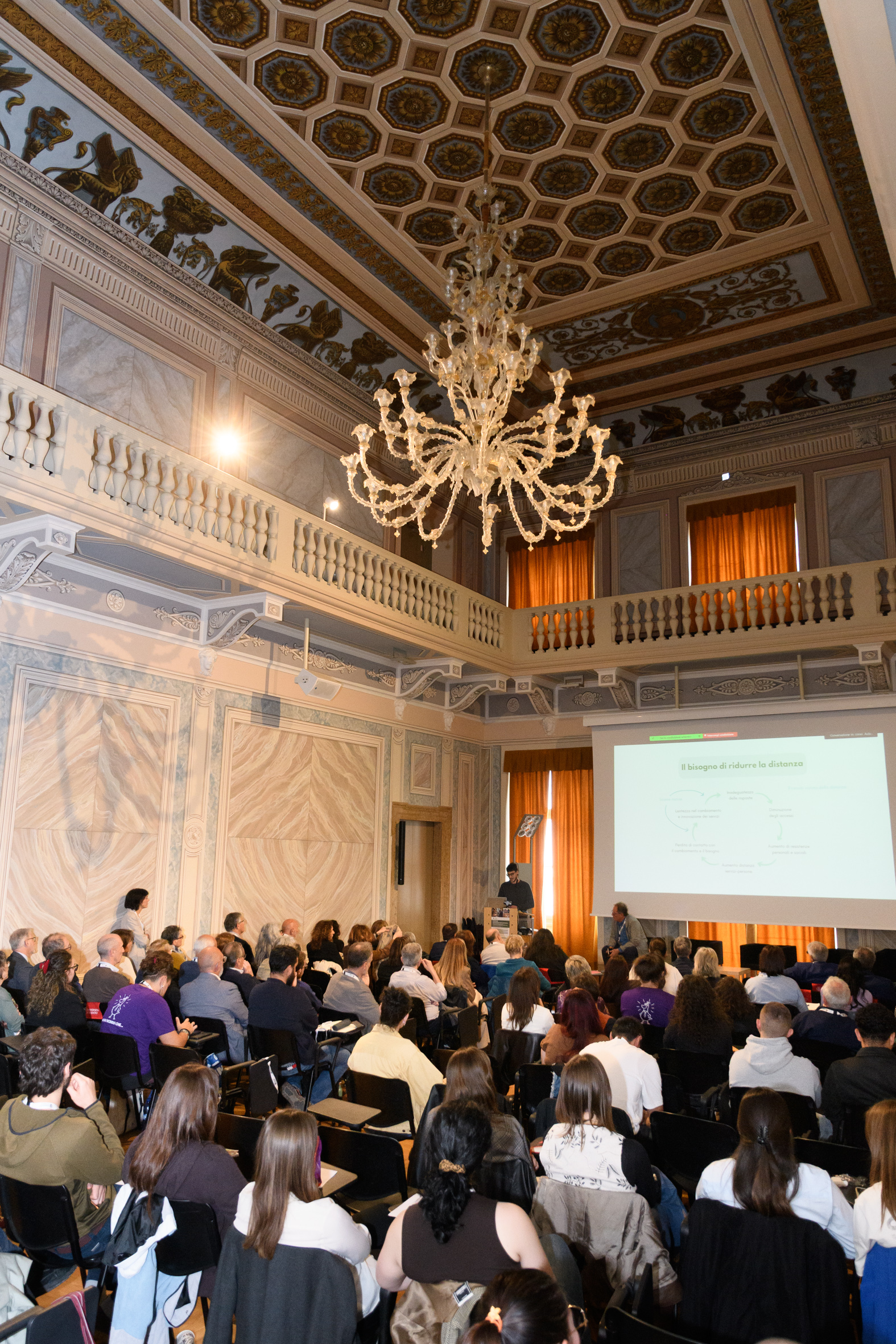 credits Matteo Festi